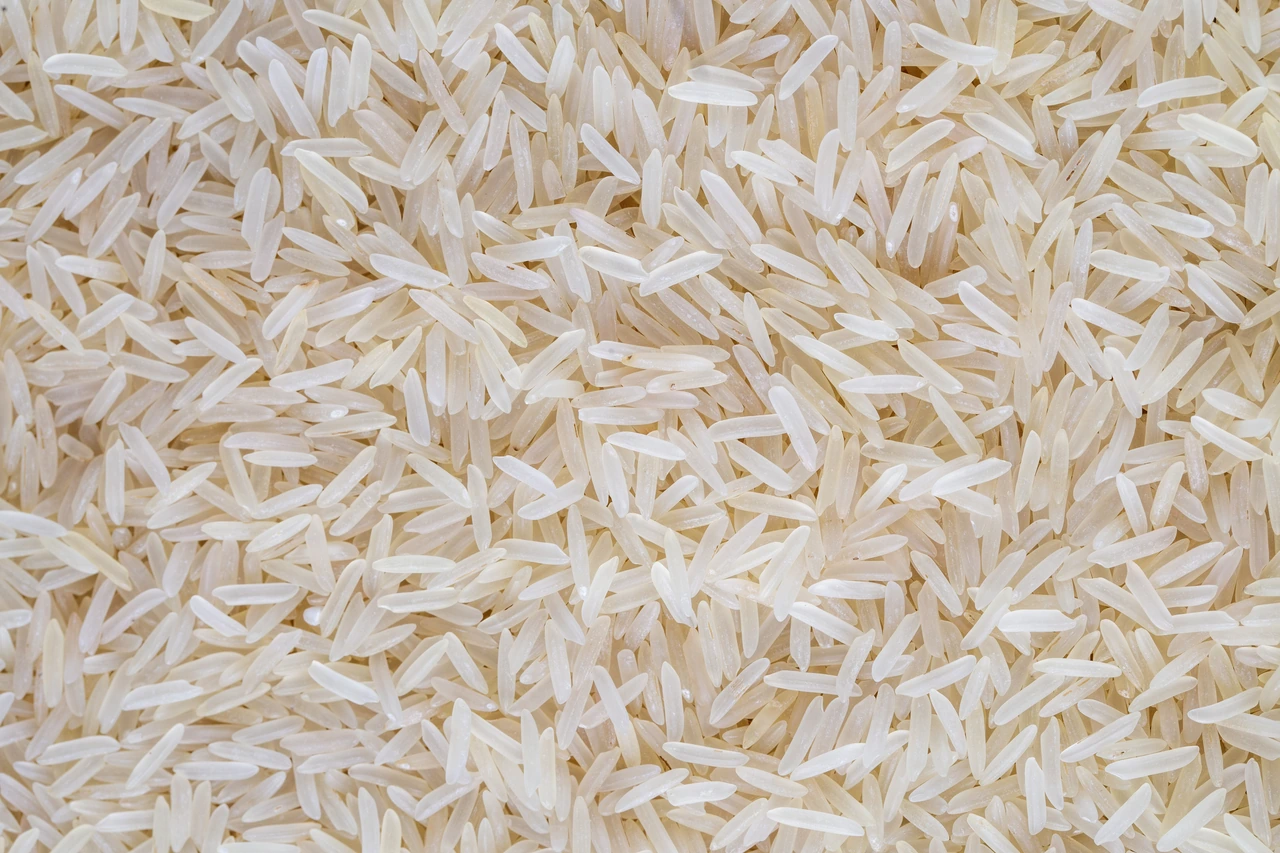 Close up of long grain rice for 1121 Basmati Rice bulk Uzbekistan buyer inquiries