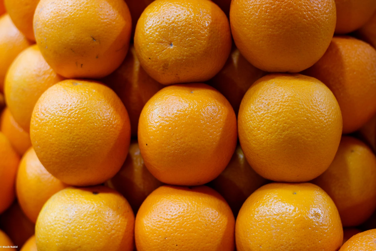 Fresh citrus supply and cold-chain planning